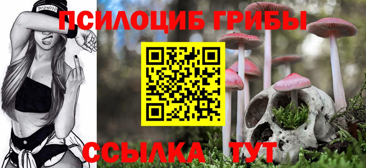 Псилоцибиновые грибы ЛСД Дальнереченск