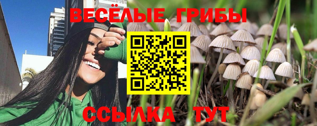 Псилоцибиновые грибы ЛСД  Вход с VPN  Псилоцибиновые грибы Magic Shrooms  Дальнереченск 